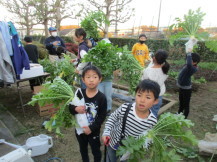 みなみすげ農園